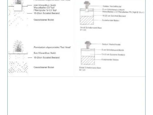 Pflanzdetail im Maßstab 1:20 mit Mulchschicht, Substrat und anstehendem Boden