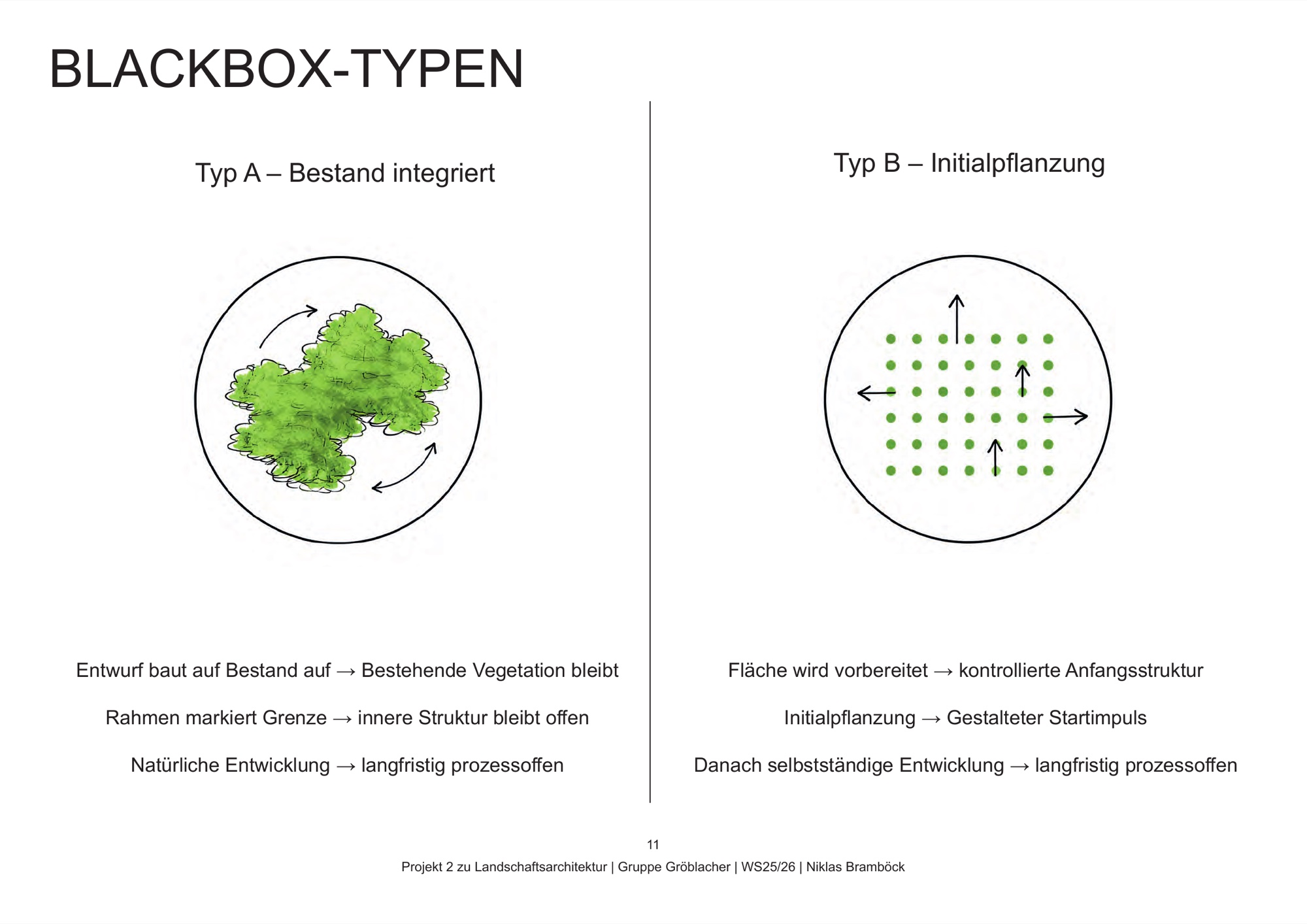 Typologie der Blackbox-Flächen: Typ A Bestand integriert, Typ B Initialpflanzung