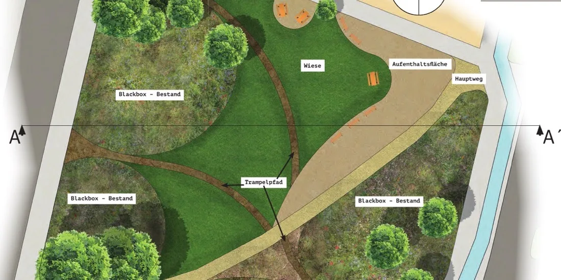 Ausschnitt des Kendlerpark-Grundrisses mit Wiese, Aufenthaltsfläche, Hauptweg, Trampelpfad und Blackbox-Flächen